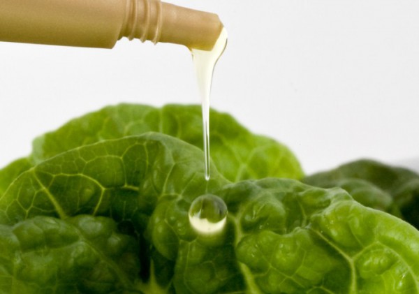 Kundengruppen Brutto / Nettopreise